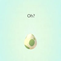 Pokemon Go Trainer Codes - Egg Hatching Pokemon Go Trainer Codes - Egg Hatching