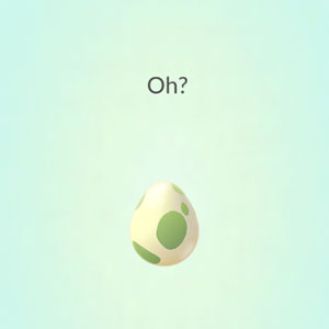 Pokemon Go Trainer Codes - Egg Hatching